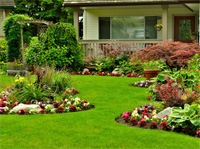 a close up of a flower garden in front of a house