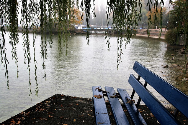 an empty park bench next to a body of water